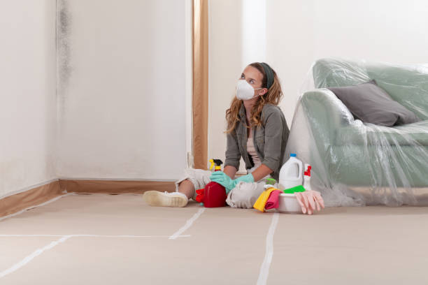 Reliable Mold Testing contractor in Williamstown, KY by WQB Mold Removal